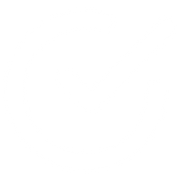 Customer First